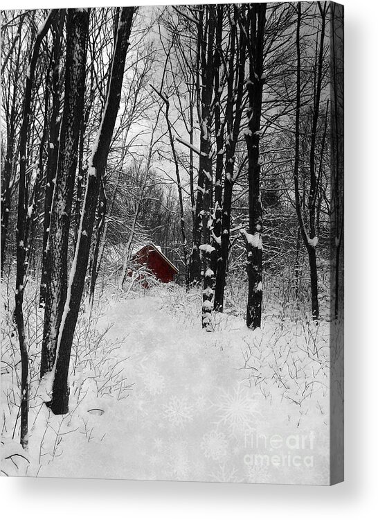 Snowflakes Acrylic Print featuring the photograph Follow The Snowflake Trail by Kathi Mirto