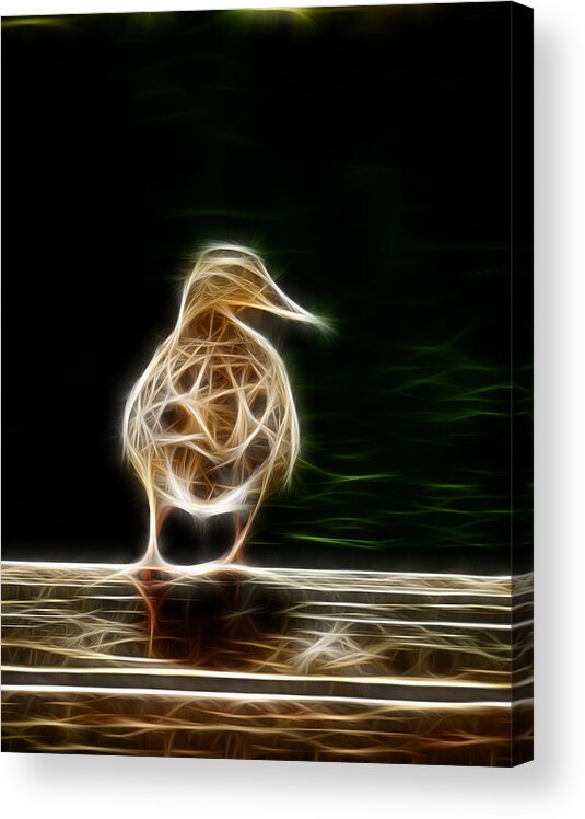 Fractal Acrylic Print featuring the photograph Fractal Duck by Prince Andre Faubert