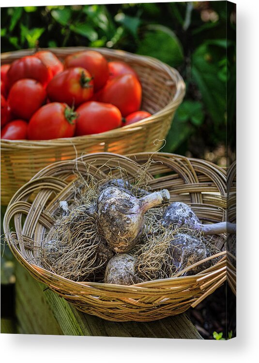 Autumn Acrylic Print featuring the photograph Garlic by Ray Kent