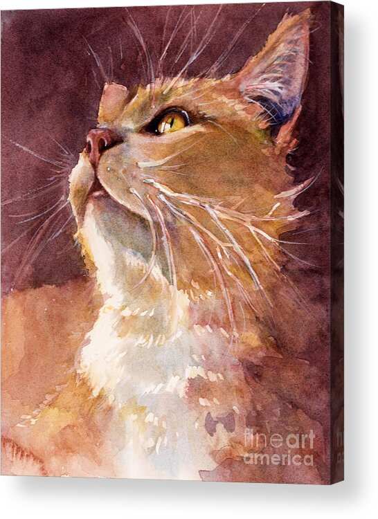 Cat Acrylic Print featuring the painting Golden Eyes by Judith Levins