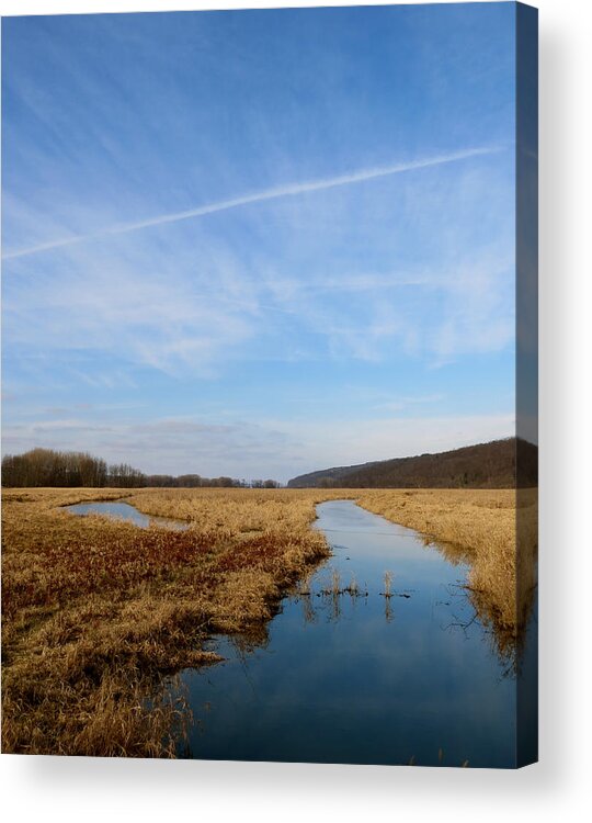 Marsh Acrylic Print featuring the photograph Golden January by Azthet Photography