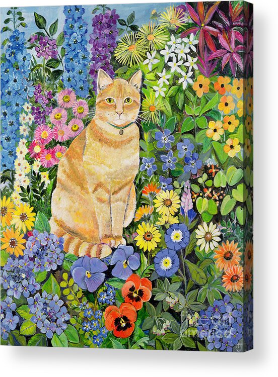 Pansy; Delphinium; Brown-eyed Susan; Lupin; Periwinkle; Ginger Tom Acrylic Print featuring the painting Gordon s Cat by Hilary Jones