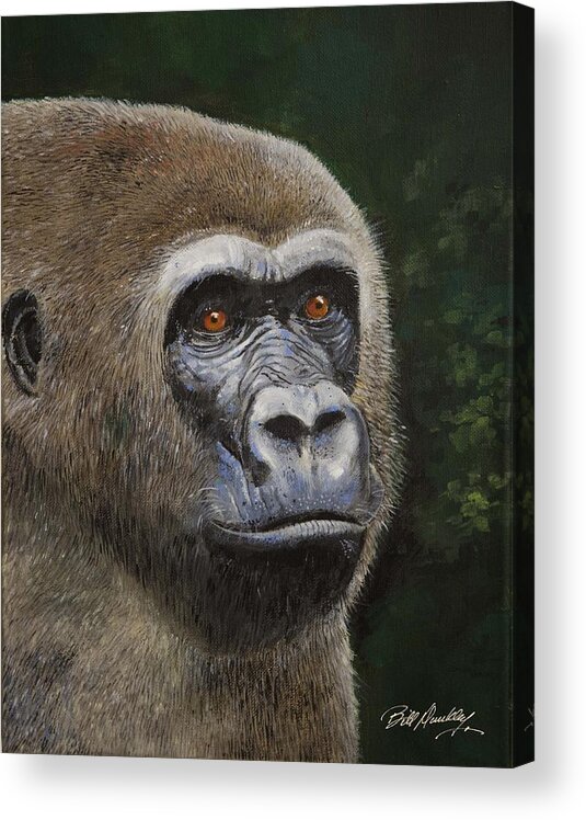 Gorilla Acrylic Print featuring the painting Gorilla Portrait by Bill Dunkley