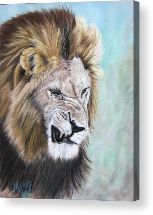 Lion Acrylic Print featuring the painting Grouchy by Maris Sherwood