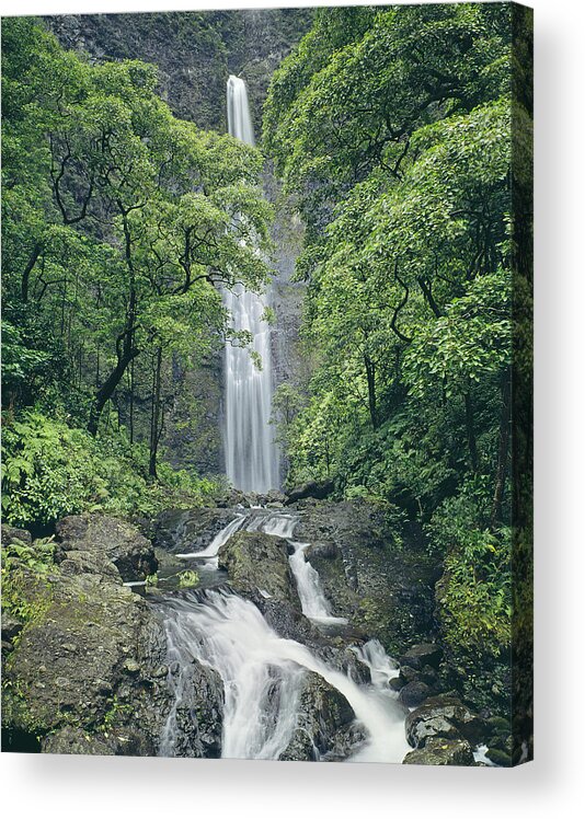 Hanakapiai Falls Acrylic Print featuring the photograph 100105-Hanakapiai Falls, Kauai by Ed Cooper Photography