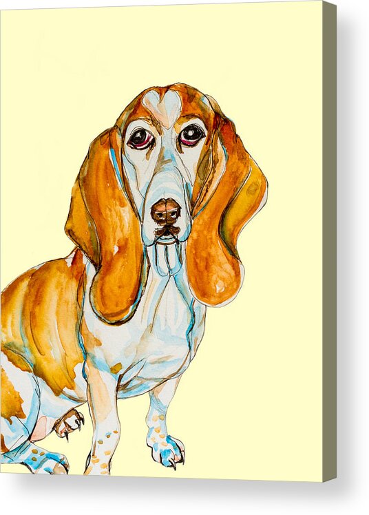 Dog Acrylic Print featuring the painting Heart Headed Basset by Kelly Smith
