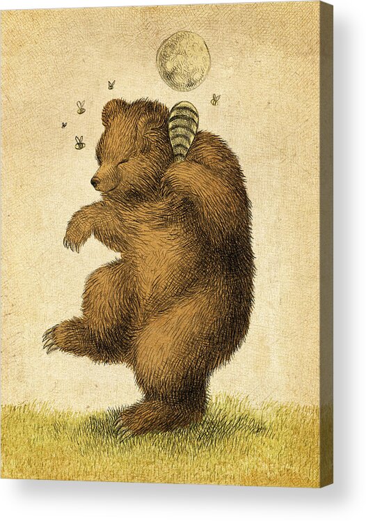 Bear Acrylic Print featuring the drawing Honey Bear by Eric Fan