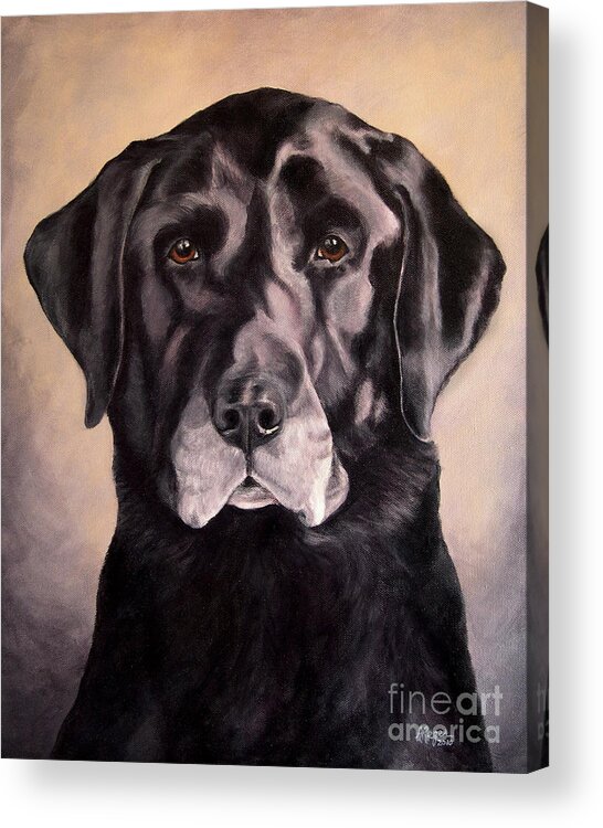 Lab Acrylic Print featuring the painting Hunting Buddy Black Lab by Amy Reges