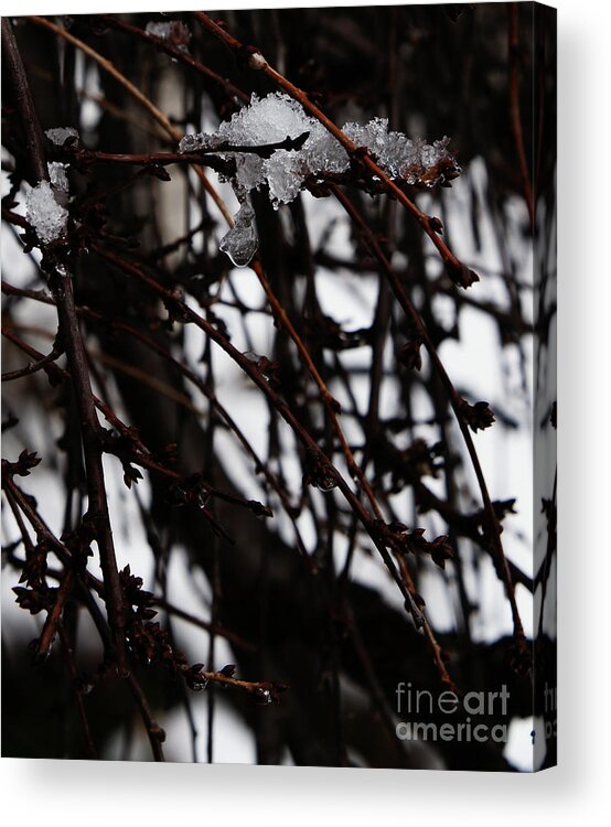 Ice Acrylic Print featuring the photograph Ice 2 by Linda Shafer