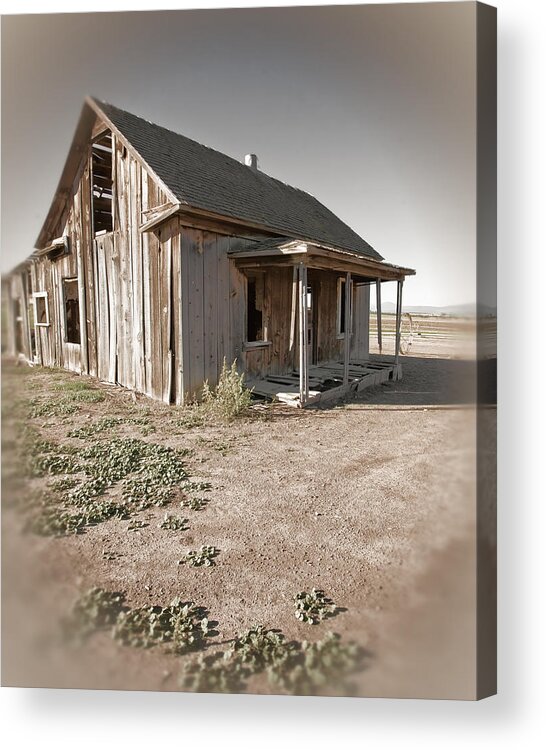 Homestead Acrylic Print featuring the photograph If This Homestead Could Speak by Bonnie Bruno