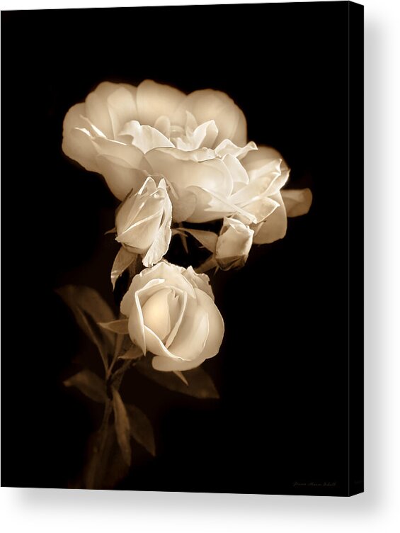 Rose Acrylic Print featuring the photograph Ivory Roses in the Moonlight Sepia by Jennie Marie Schell