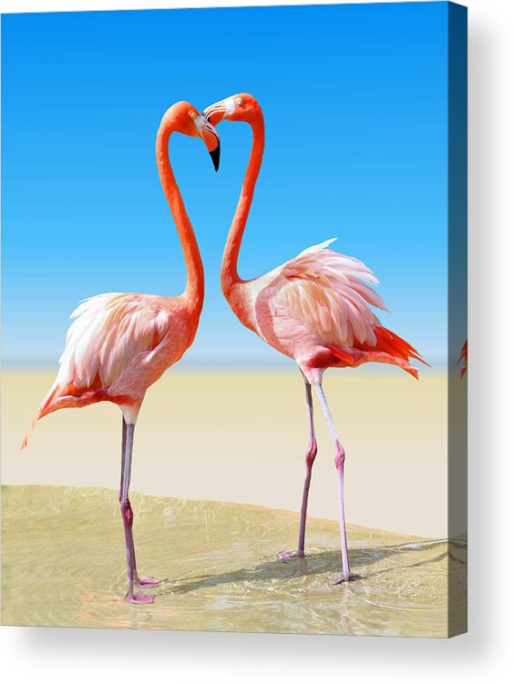 Flamingo Acrylic Print featuring the photograph Just We Two by Kristin Elmquist