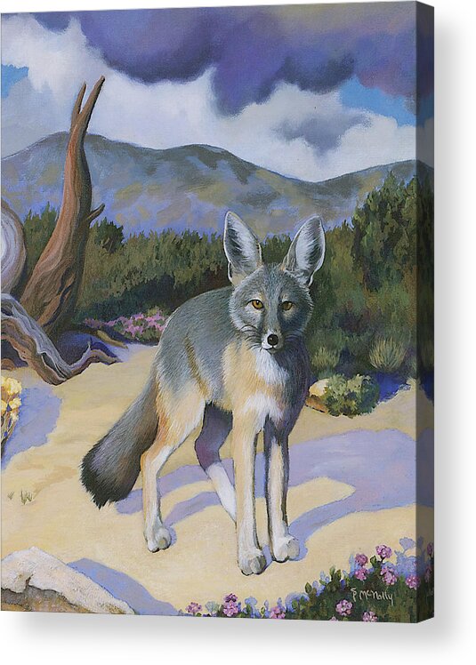 Fox Acrylic Print featuring the painting Kit Fox by Susan McNally