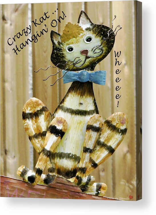 Cat Acrylic Print featuring the photograph Krazy Kat Hangin On by Rhonda McDougall