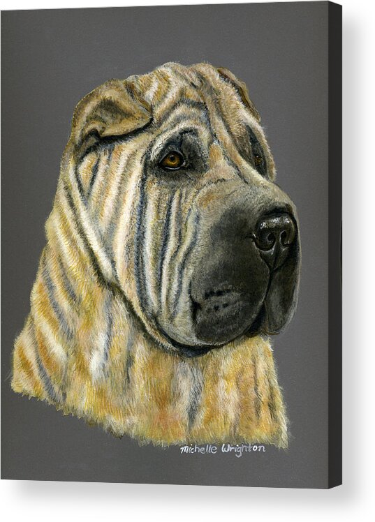 Sharpei Acrylic Print featuring the painting Kruger Shar Pei Portrait by Michelle Wrighton