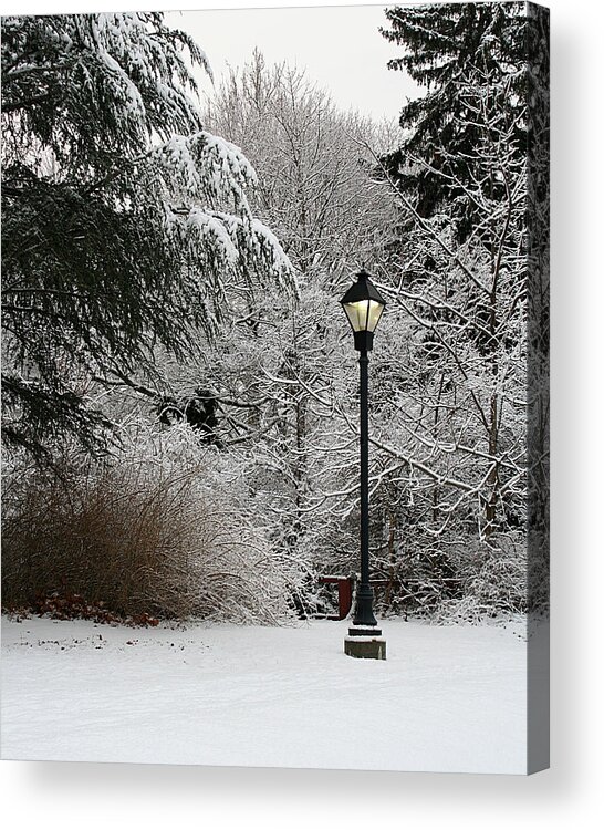 Lamp Post Acrylic Print featuring the photograph Lamp Post in Winter by William Selander