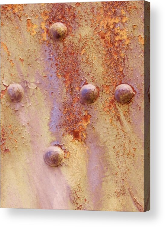 Rust Photographs Acrylic Print featuring the photograph Lavender in Rust by Charles Lucas
