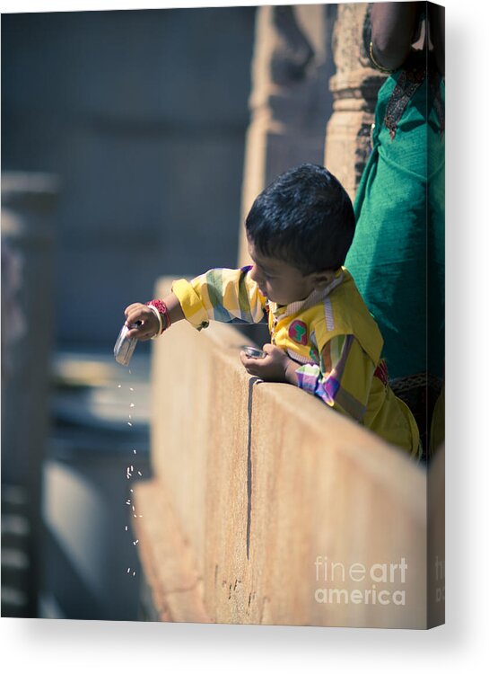 India Acrylic Print featuring the photograph LearningAboutGravity by James L Davidson