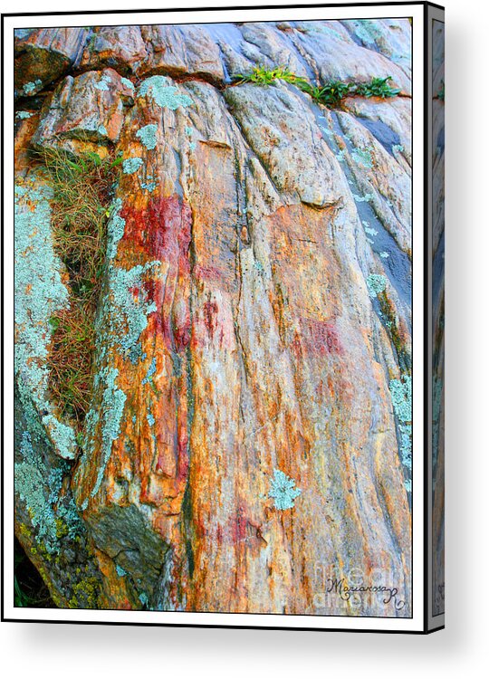 Rocks Acrylic Print featuring the photograph Lichens on Rocks by Mariarosa Rockefeller