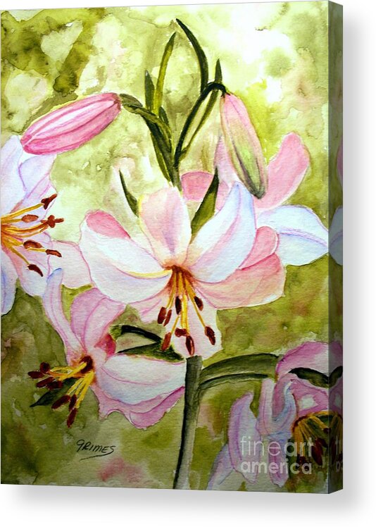 Lily Acrylic Print featuring the painting Lily in Pink by Carol Grimes
