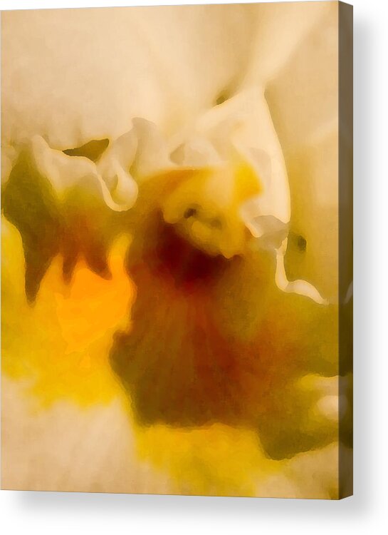 Orchid Acrylic Print featuring the photograph Liquid Gold by Jennifer Kano