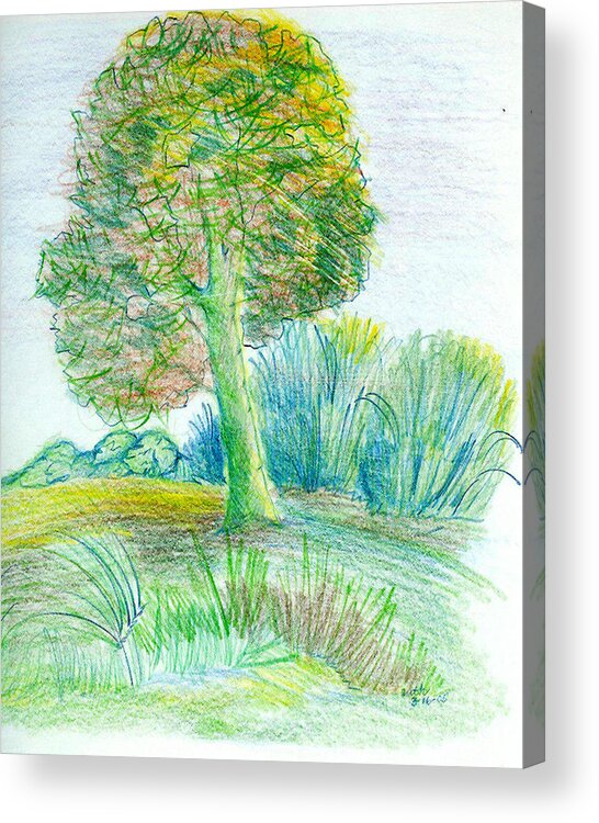 Colored Pencil Acrylic Print featuring the mixed media Lone Tree by Ruth Dailey