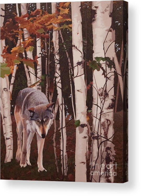 Wolf In The Woods Acrylic Print featuring the painting Lone Wolf by Margaret Sarah Pardy