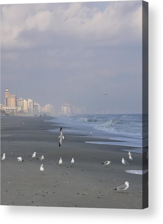 Myrtle Beach Acrylic Print featuring the photograph Look at Me by Rhonda McDougall