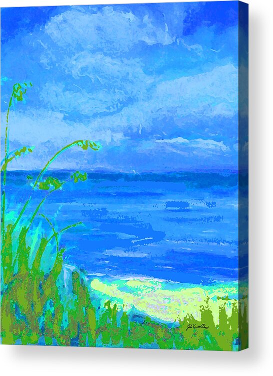 Palozzi Acrylic Print featuring the digital art Looking Down to Beach by John Vincent Palozzi