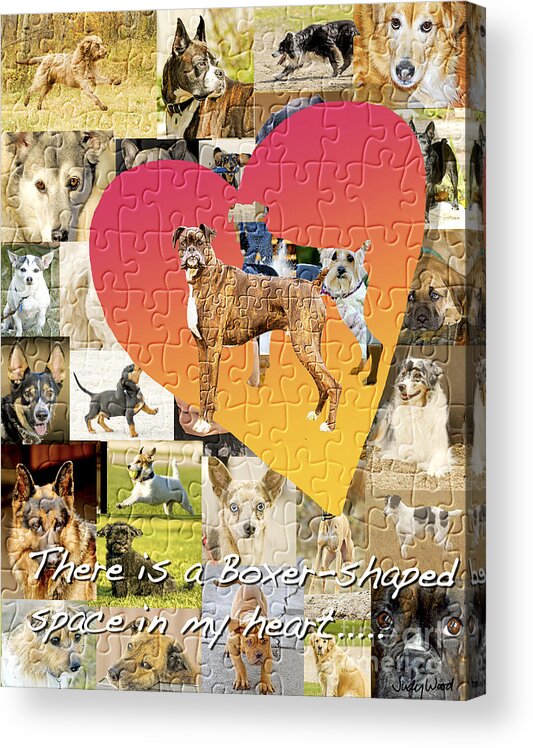 Boxer Dog Acrylic Print featuring the digital art Love of Boxers by Judy Wood