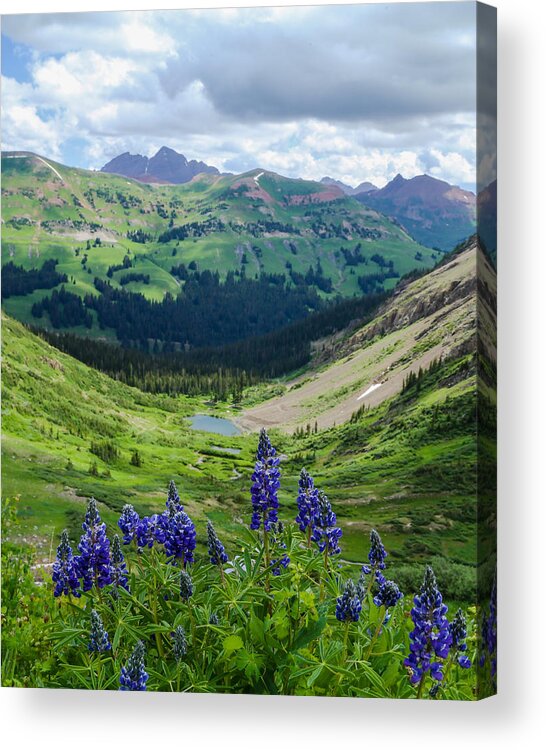 Valley Acrylic Print featuring the photograph Lupine over Valley by Kevin Buffington