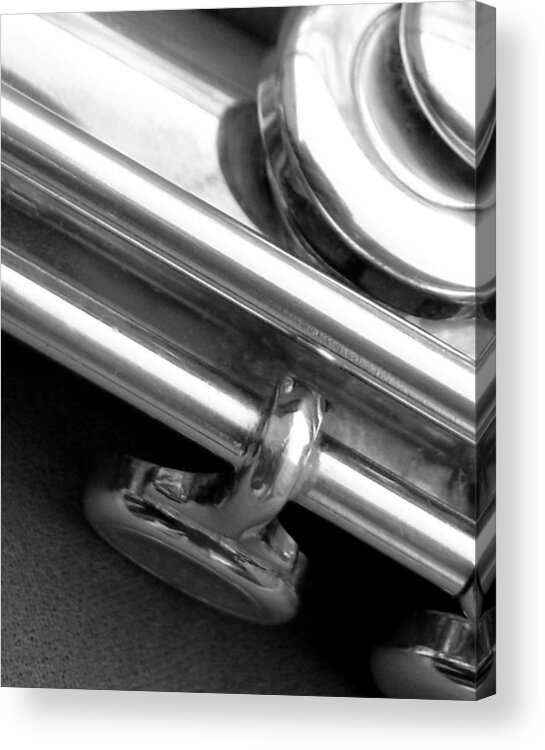 Musical Instruments Acrylic Print featuring the photograph Metallic by Lisa Phillips