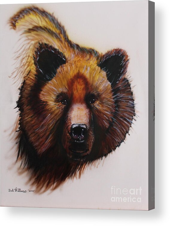 Bear Acrylic Print featuring the painting Montana Monarch by Bob Williams