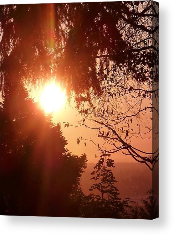 Morning Sunrise Acrylic Print featuring the photograph Morning Red Sunrise by Susan Garren