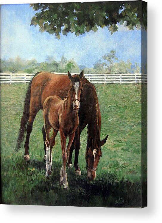 Nature Acrylic Print featuring the painting Mother and Colt by Donna Tucker