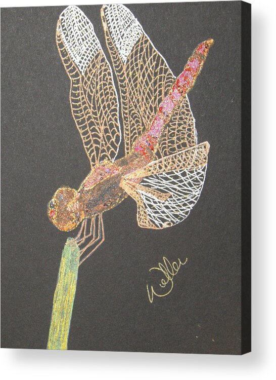 Dragonfly Acrylic Print featuring the painting Ms Pinky by Marcia Weller-Wenbert