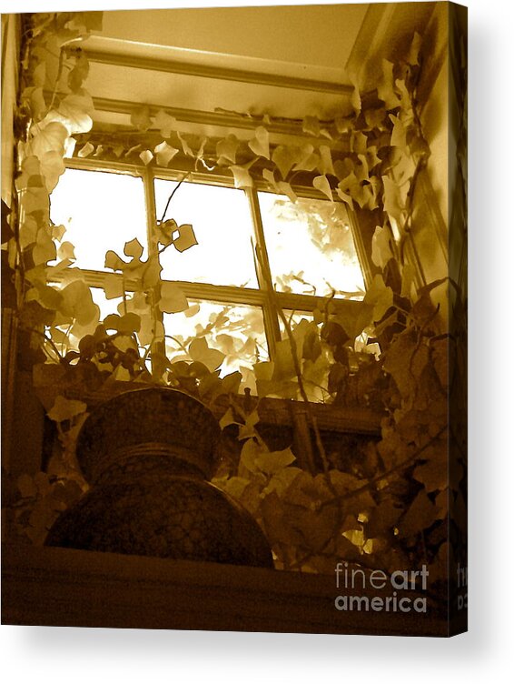 Old Window Photo Prints Acrylic Print featuring the photograph My favorite window at the mill by Delona Seserman