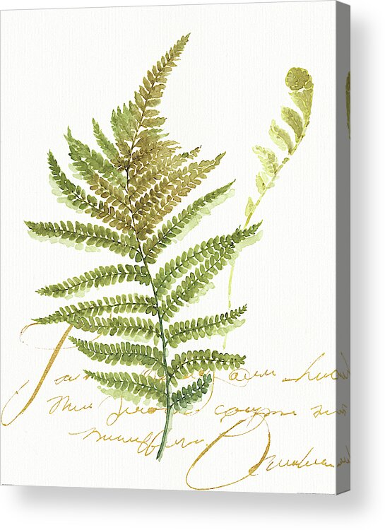 Botanical Acrylic Print featuring the painting My Greenhouse Fern II by Lisa Audit