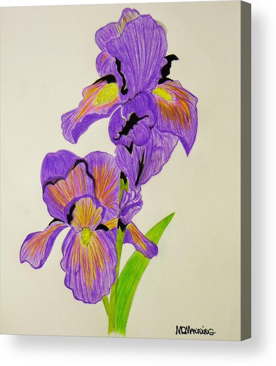 Purple Iris Colored Pencil Prints Acrylic Print featuring the drawing My Sweet Iris by Celeste Manning