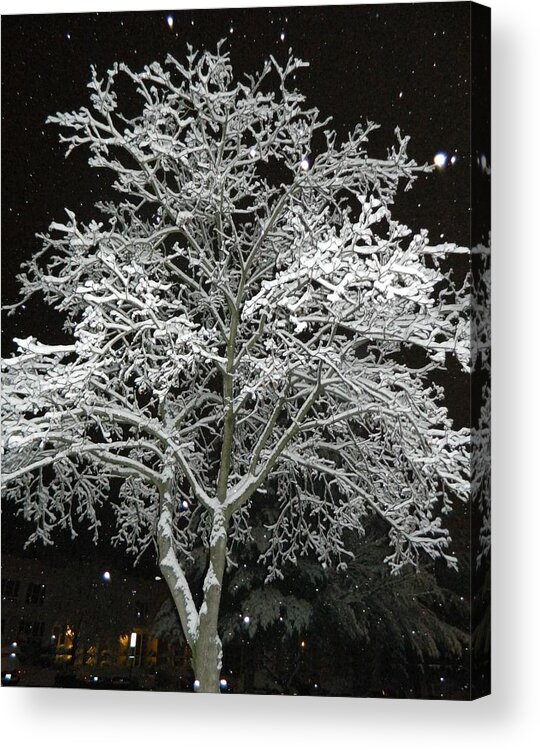 Mystical Winter Beauty Acrylic Print featuring the photograph Mystical Winter Beauty by Emmy Vickers
