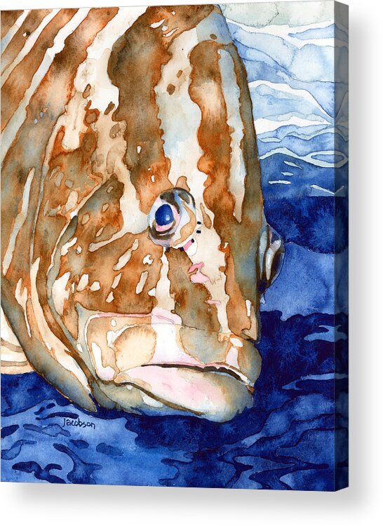 Grouper Acrylic Print featuring the painting Nassau Grouper Portrait by Pauline Walsh Jacobson