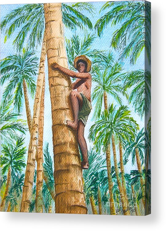 Palm Trees Acrylic Print featuring the painting Native Climbing Palm Tree by Val Miller