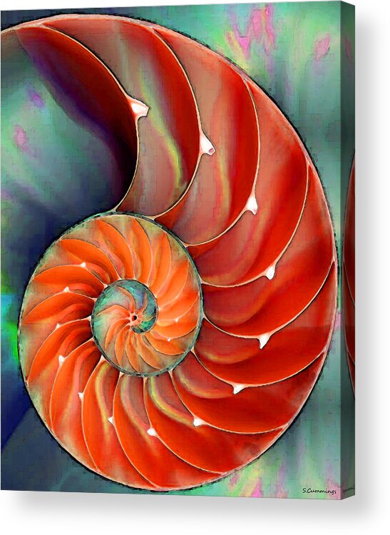 Nautilus Acrylic Print featuring the painting Nautilus Shell - Nature's Perfection by Sharon Cummings