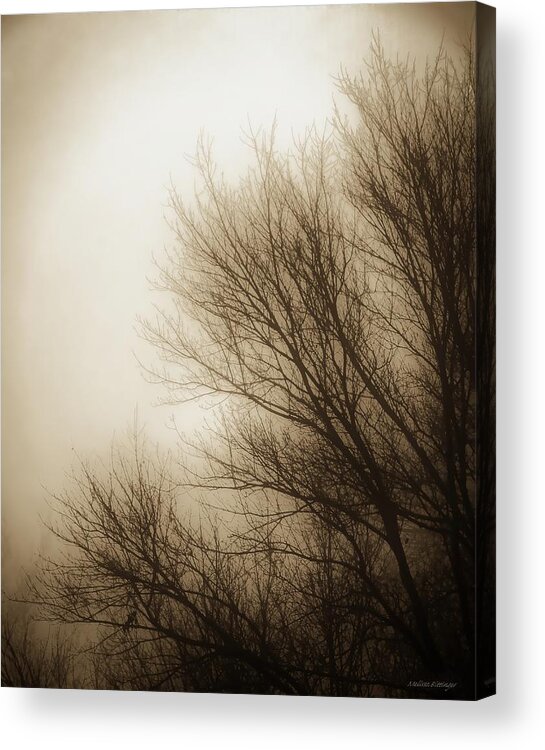 Dawn Acrylic Print featuring the photograph New Dawn in Winter by Melissa Bittinger