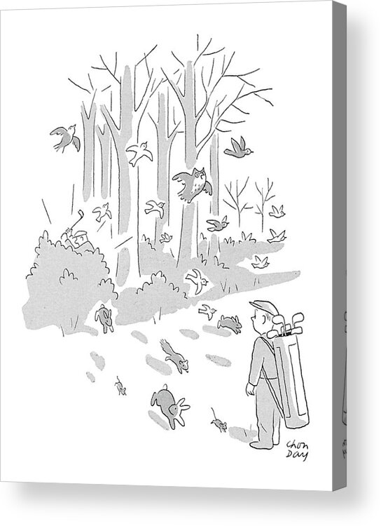 (caddy Watches Birds And Animals Scampering Out Of Forest As Golfer Swings His Club In The Woods.) Golf Acrylic Print featuring the drawing New Yorker April 10th, 1954 by Chon Day