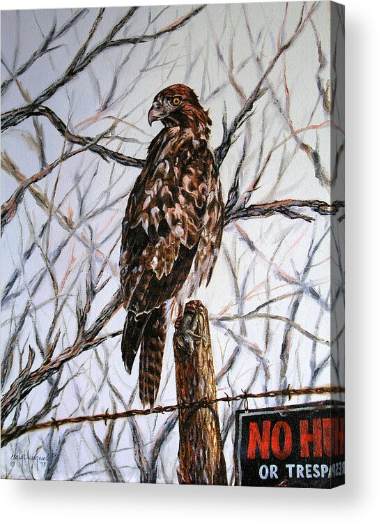 Red-tailed Hawk Acrylic Print featuring the painting No Hunting by Craig Burgwardt