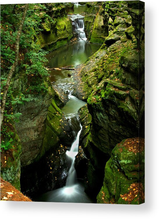 Green Acrylic Print featuring the photograph Oh So Green by Brook Burling