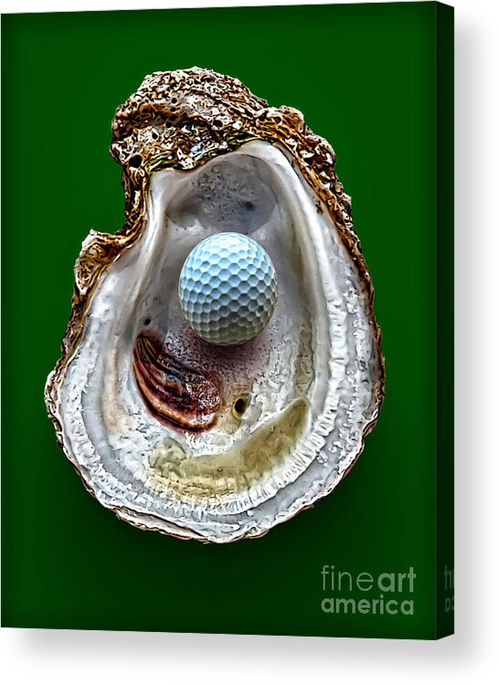 Golf Acrylic Print featuring the photograph Hole In One by Walt Foegelle