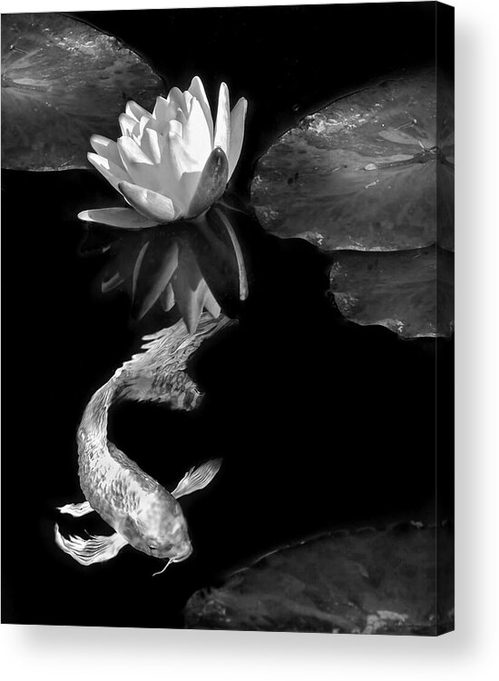 Oi Acrylic Print featuring the photograph Oriental Koi Fish and Water Lily Flower Black and White by Jennie Marie Schell