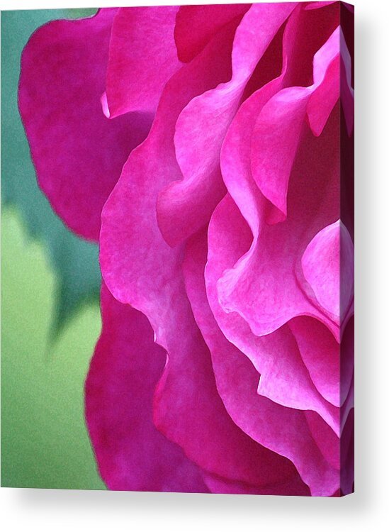 Roses Acrylic Print featuring the photograph Painted Rose by The Art Of Marilyn Ridoutt-Greene